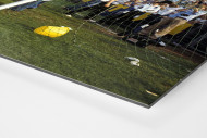 HSV Fans auf dem Tor als auf Alu-Dibond kaschierter Fotoabzug (Detail)