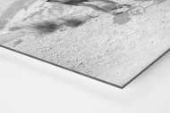 Reifenpanne bei der Tour 1947 als auf Alu-Dibond kaschierter Fotoabzug (Detail)