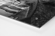 Erfrischung bei der Tour 1961 als auf Alu-Dibond kaschierter Fotoabzug (Detail)