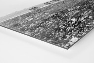 Um die Kurve bei Lüttich-Bastogne-Lüttich als auf Alu-Dibond kaschierter Fotoabzug (Detail)