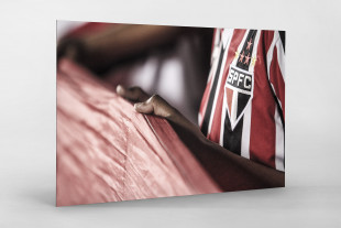  FC São Paulo Fan Holding His Flag - Gabriel Uchida - 11FREUNDE BILDERWELT