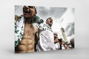 Palmeiras Fans In The Stand - Gabriel Uchida - 11FREUNDE BILDERWELT