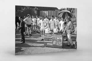 Kölner Meister 1964 - 1. FC Köln - 11FREUNDE BILDERWELT