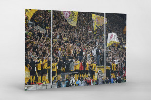 Dresden jubelt im Pokal - Dynamo Dresden - 11FREUNDE BILDERWELT