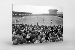 Millerntor Stadion 1966 - 11FREUNDE SHOP - Fußball Foto Wandbild