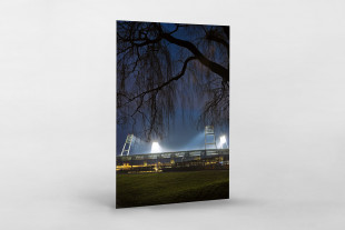 Weserstadion bei Flutlicht (Farbe-Hochformat) - Christoph Buckstegen Foto - 11FREUNDE SHOP