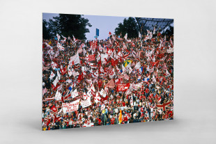 Nottingham Forest Fans Olympiastadion München - Wandbild - 11FREUNDE SHOP