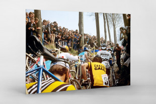 Fahrradtragen bei der Flandern-Rundfahrt - Sport Fotografien als Wandbilder - Radsport Foto - NoSports Magazin - 11FREUNDE SHOP