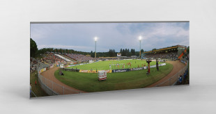 Stadionfoto: SV Darmstadt 98 - Stadion am Böllenfalltor - 11FREUNDE BILDERWELT