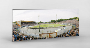 Darmstadt (2015) - Stadionfoto - Poster - 11FREUNDE SHOP