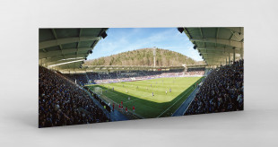 Aue (2018) - Stadion Wandbild Erzgebirgsstadion - 11FREUNDE SHOP