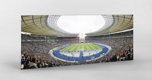 Berlin Olympiastadion 2011 - 11FREUNDE BILDERWELT