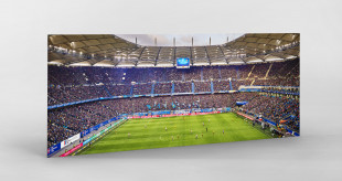 Hamburg (HSV, 2019) - Volksparkstadion - Fußball Foto Wandbild Poster Leinwand 