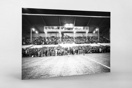 Europapokal an der Grünwalder Straße - FC Bayern München - 11FREUNDE SHOP