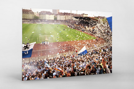 Stadion an der Grünwalder Straße (1990) - Fußball Foto Wandbild - 11FREUNDE SHOP