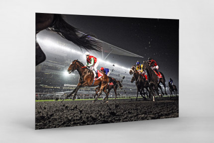 Galopprennbahn in Meydan - 11FREUNDE SHOP - NoSports - Reitsport Foto als Wandbild