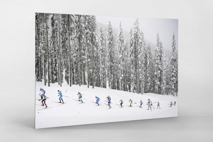 Biathlon vor verschneitem Wald