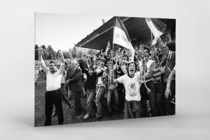 Darmstadt feiert den Aufstieg 1981