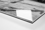 Ballartist als Direktdruck auf Alu-Dibond hinter Acrylglas (Detail)