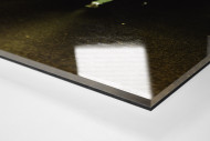 MSV-Fan als Direktdruck auf Alu-Dibond hinter Acrylglas (Detail)