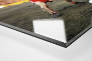 Brummer und Melzer als Direktdruck auf Alu-Dibond hinter Acrylglas (Detail)