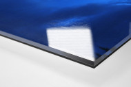 Skisprung in den Abendhimmel von Predazzo als Direktdruck auf Alu-Dibond hinter Acrylglas (Detail)