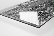 Um die Kurve bei Lüttich-Bastogne-Lüttich als Direktdruck auf Alu-Dibond hinter Acrylglas (Detail)