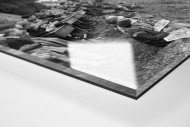 Schüler schauen die Tour 1958 als Direktdruck auf Alu-Dibond hinter Acrylglas (Detail)