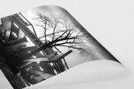 Ruhrstadion bei Flutlicht (SW) als FineArt-Print