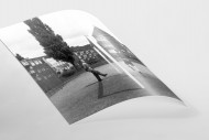 Auf dem Hinterhof als FineArt-Print