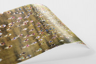 Start beim Roc d'Azur als FineArt-Print