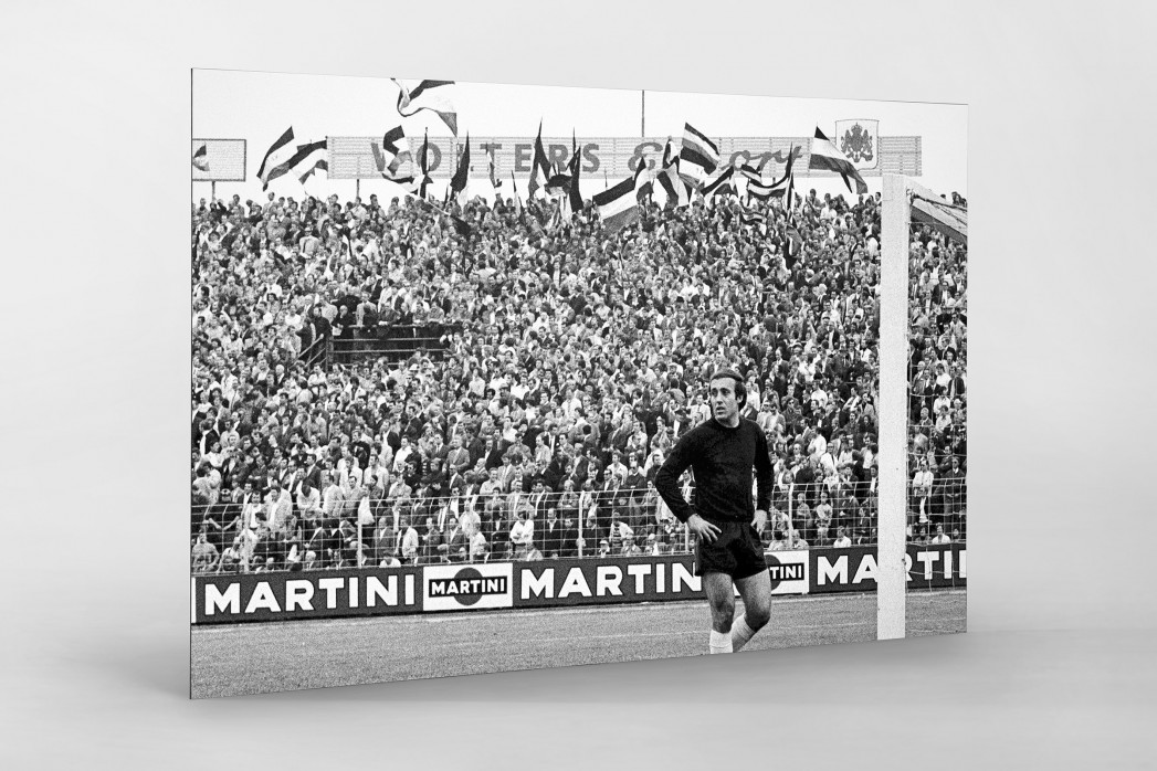 Hannover Fans 1971 als auf Alu-Dibond kaschierter Fotoabzug