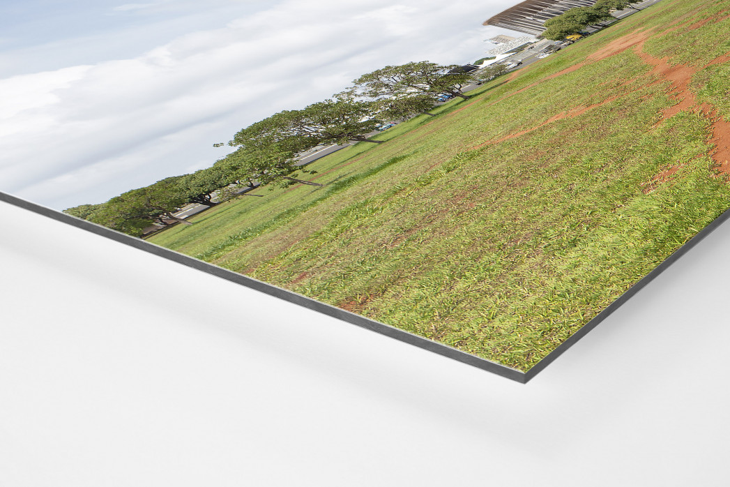 Baum vor dem Estádio Nacional de Brasília als auf Alu-Dibond kaschierter Fotoabzug (Detail)