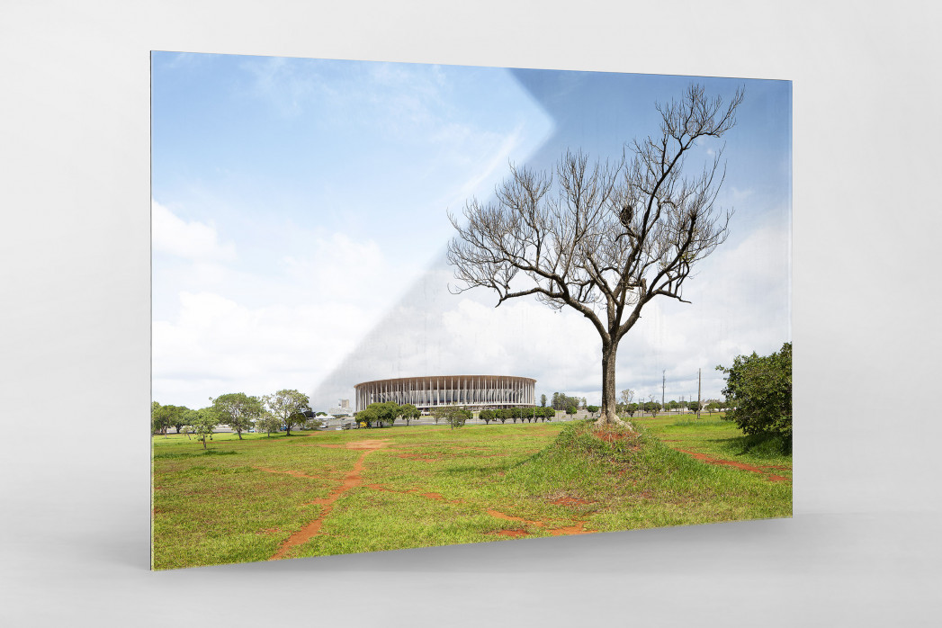 Baum vor dem Estádio Nacional de Brasília als Direktdruck auf Alu-Dibond hinter Acrylglas