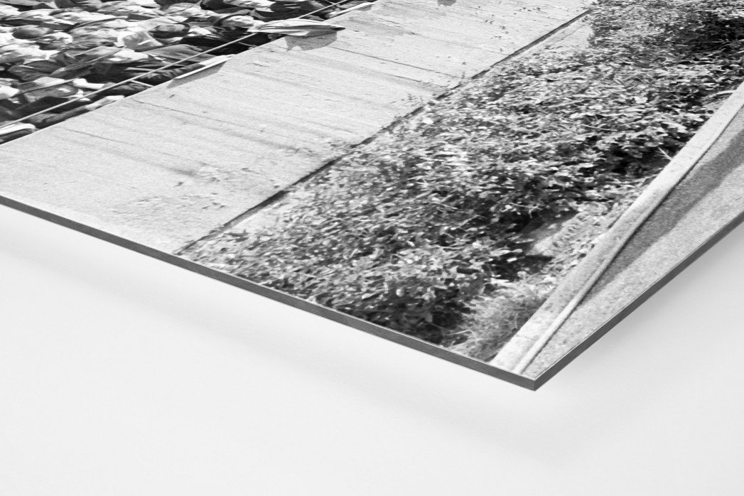 Kameramann vor Zuschauern als auf Alu-Dibond kaschierter Fotoabzug (Detail)
