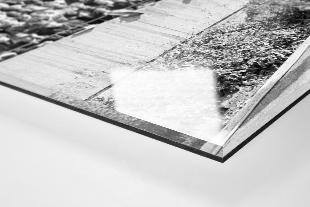 Kameramann vor Zuschauern als Direktdruck auf Alu-Dibond hinter Acrylglas (Detail)