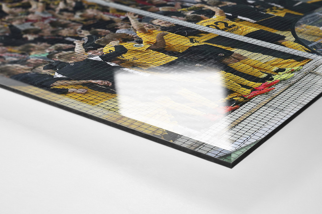 Dresden jubelt im Pokal als Direktdruck auf Alu-Dibond hinter Acrylglas (Detail)