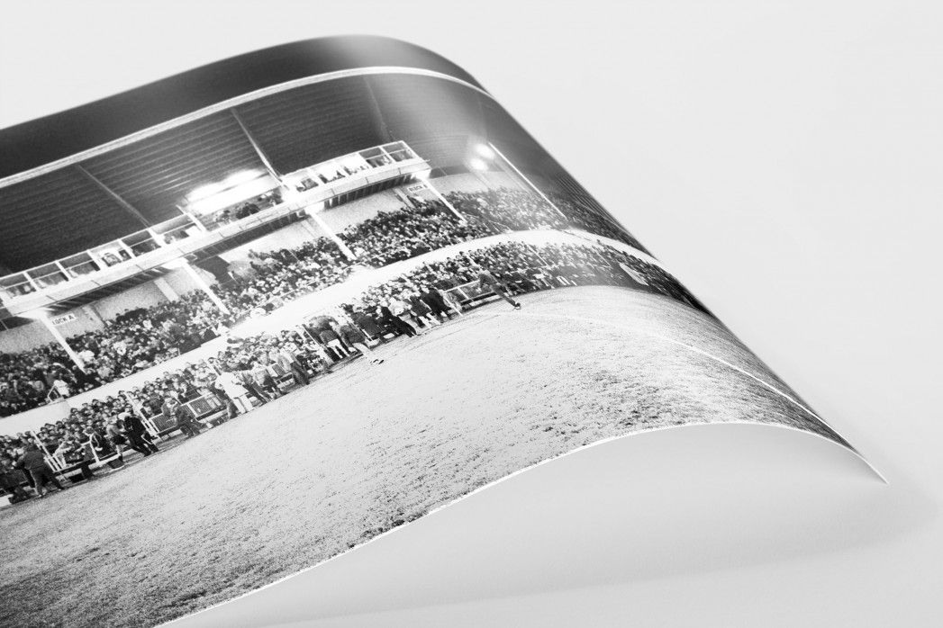 Europapokal an der Grünwalder Straße als FineArt-Print