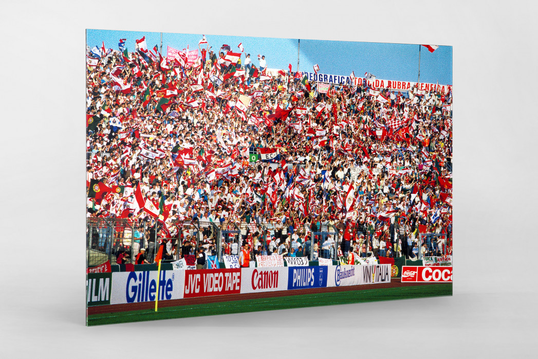 PSV vs. Benfica im Neckarstadion als Direktdruck auf Alu-Dibond hinter Acrylglas