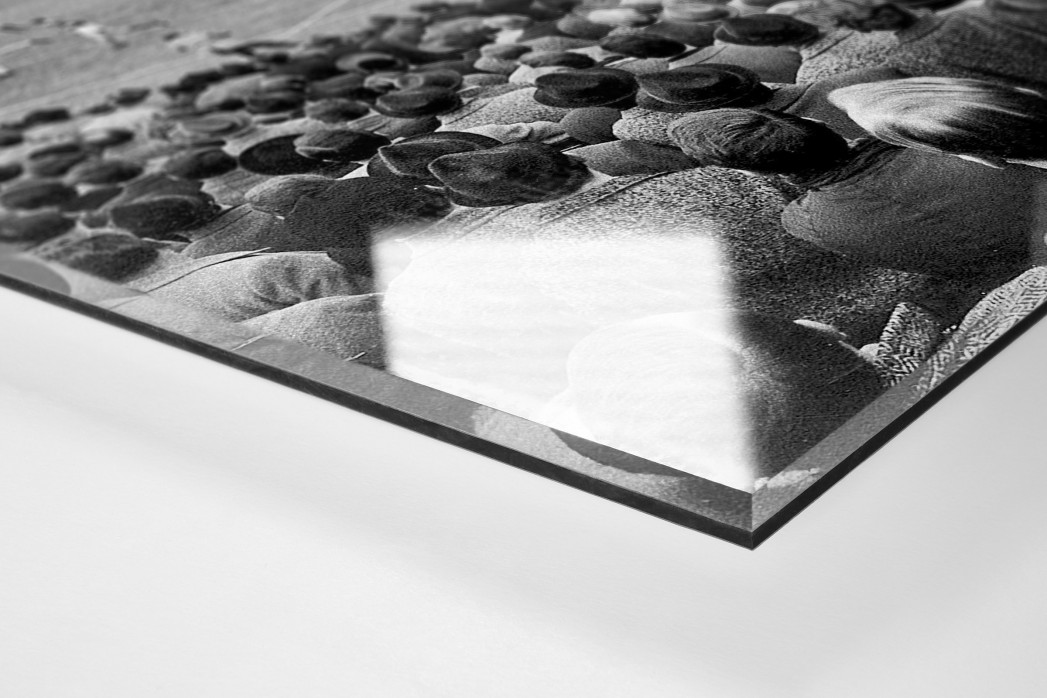 Millerntor Stadion 1966 als Direktdruck auf Alu-Dibond hinter Acrylglas (Detail)