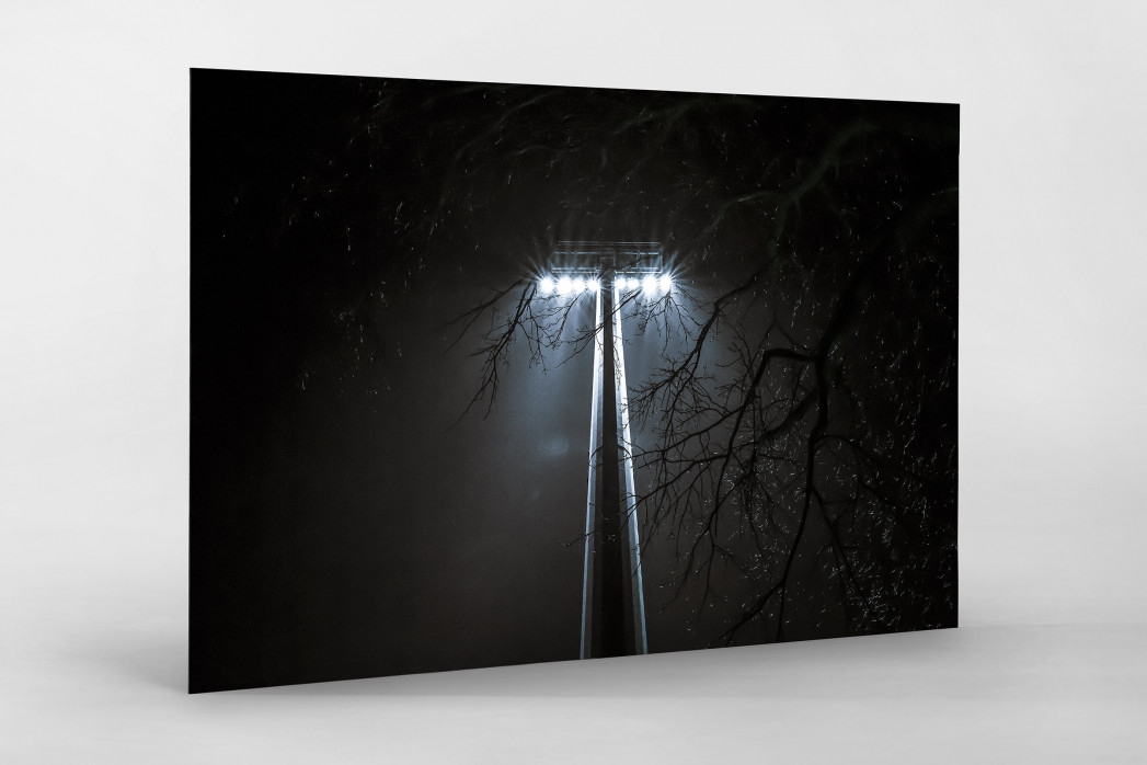 Flutlicht durch die Bäume als auf Alu-Dibond kaschierter Fotoabzug
