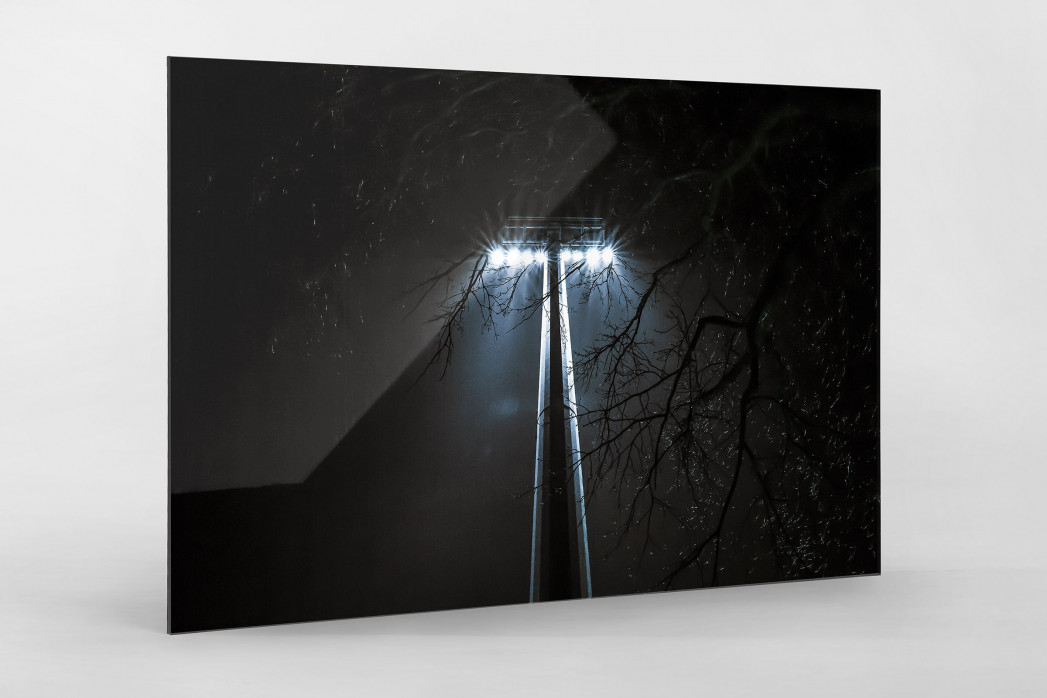 Flutlicht durch die Bäume als Direktdruck auf Alu-Dibond hinter Acrylglas