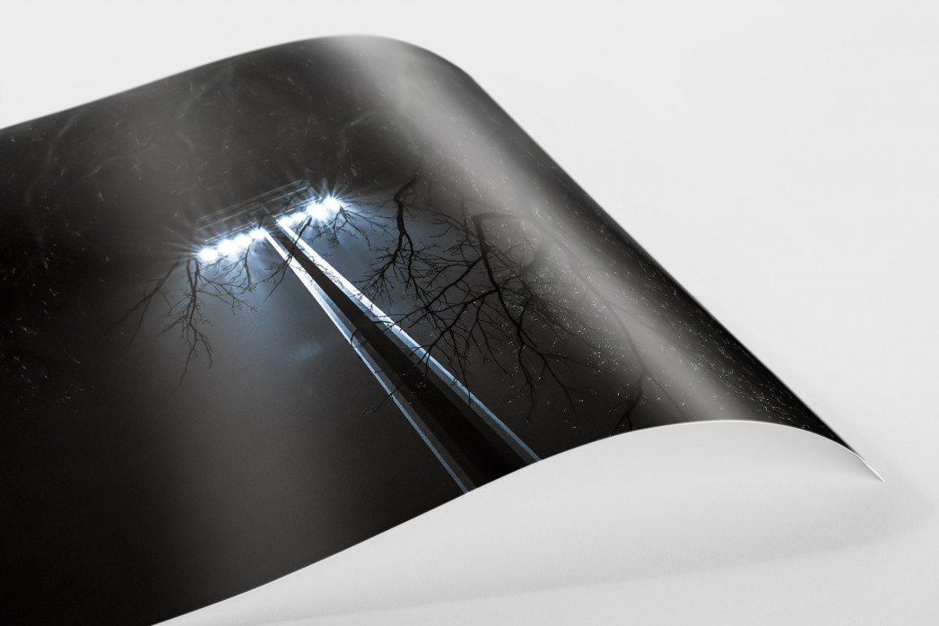 Flutlicht durch die Bäume als FineArt-Print