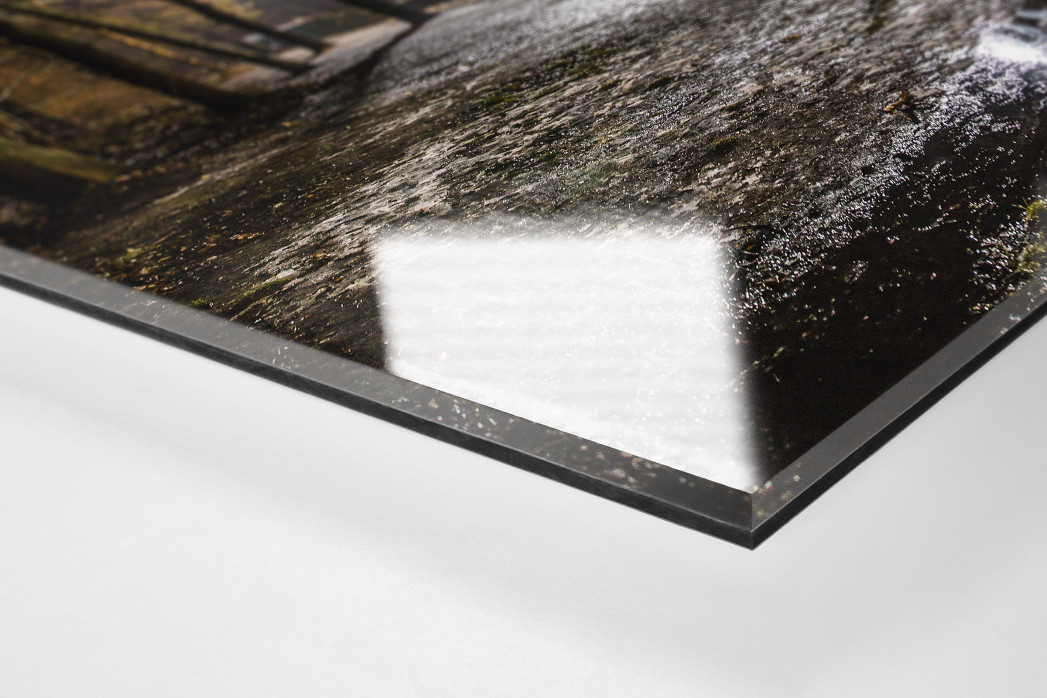 Draußen vor der Alten Försterei als Direktdruck auf Alu-Dibond hinter Acrylglas (Detail)