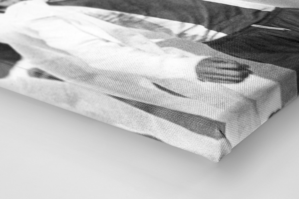 Magdeburger Europapokalsieger als Leinwand auf Keilrahmen gezogen (Detail)