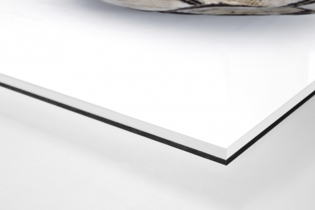 Alter Ball als Direktdruck auf Alu-Dibond hinter Acrylglas (Detail)