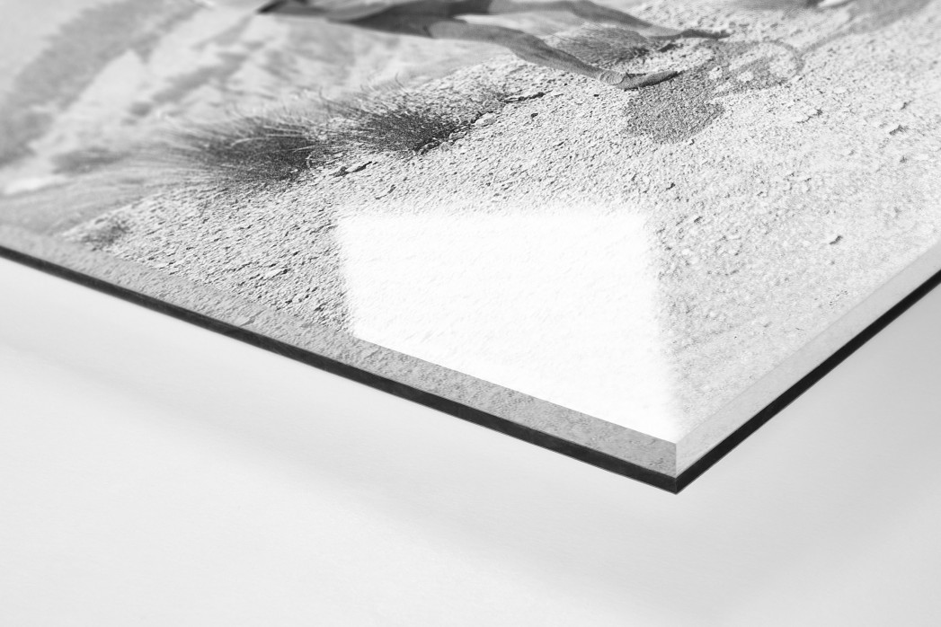 Reifenpanne bei der Tour 1947 als Direktdruck auf Alu-Dibond hinter Acrylglas (Detail)