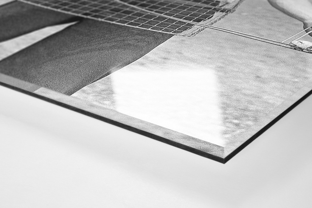 Sicherer Caddy als Direktdruck auf Alu-Dibond hinter Acrylglas (Detail)