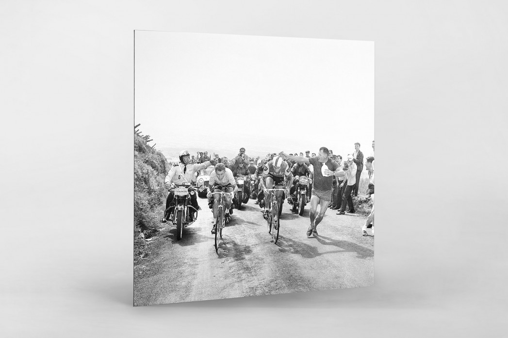 Mit dem Schwamm bei der Tour 1964 als auf Alu-Dibond kaschierter Fotoabzug