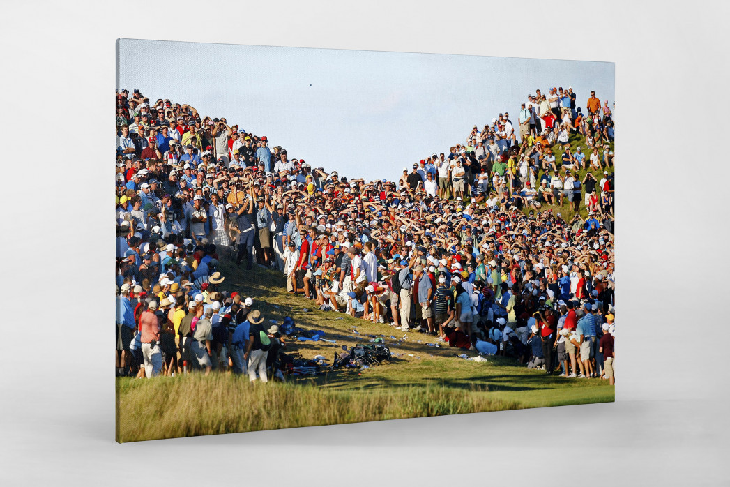Schlag aus dem Zuschauerbereich als Leinwand auf Keilrahmen gezogen